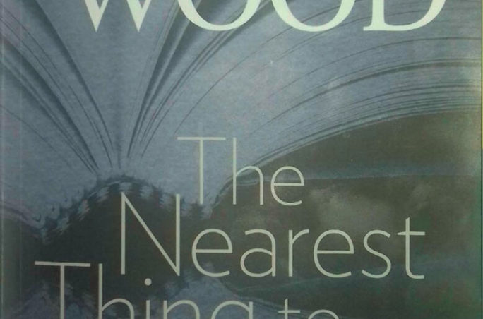 Kies ŉ boek: James Wood: The Nearest Thing to Life