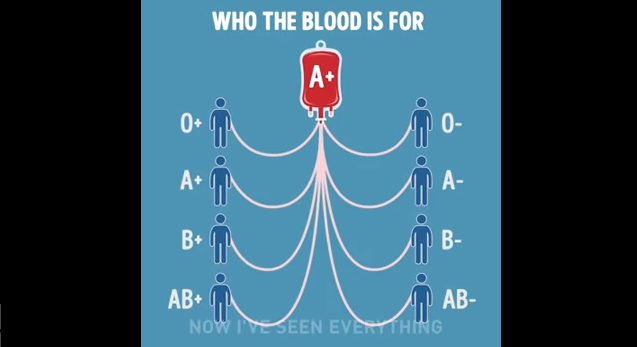VIDEO: Vir watter bloedgroep kan jy skenk?