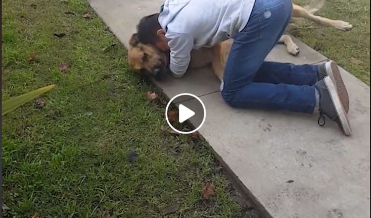 VIDEO: Die onvoorwaardelike liefde van ’n hond ...