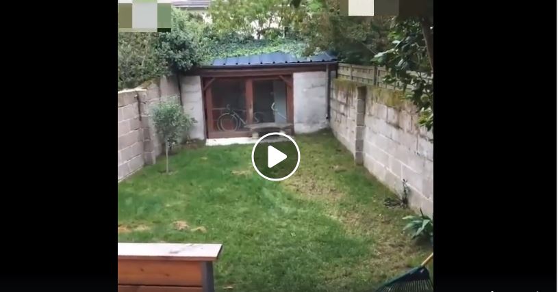 VIDEO: Tuin-transformasie